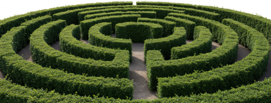 Lush Green Hedge Maze Labyrinth in a Garden Setting Perfect for Concept Images