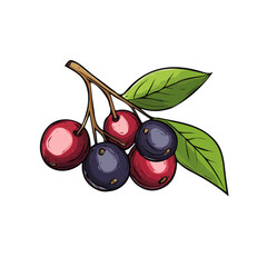 A hand-drawn colorful Maqui Berry. Trendy abstract minimal style. Natural fresh. Vector illustration isolated on white background, vector illustration