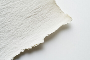 A piece of very textured white watercolor paper with rough edges
