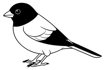 bullfinch line art silhouette vector illustration