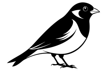 bullfinch line art silhouette vector illustration