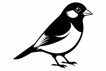 Obraz premium bullfinch line art silhouette vector illustration