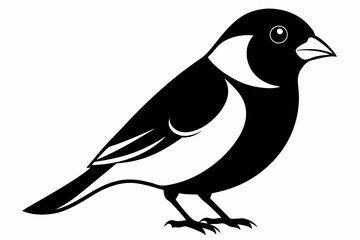 Obraz premium bullfinch line art silhouette vector illustration