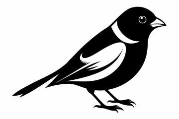 Obraz premium bullfinch line art silhouette vector illustration