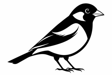 bullfinch line art silhouette vector illustration