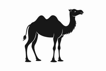 Fototapeta premium dromedary camel line art silhouette vector illustration