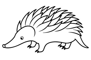 echidna line art silhouette vector illustration