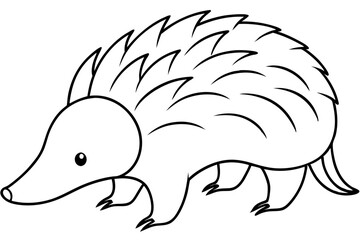 echidna line art silhouette vector illustration