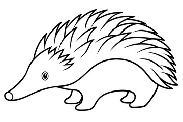 echidna line art silhouette vector illustration