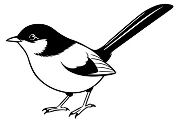 fairy wren line art silhouette vector illustration