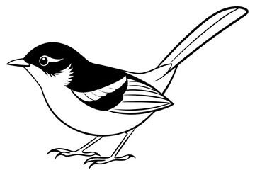 fairy wren line art silhouette vector illustration