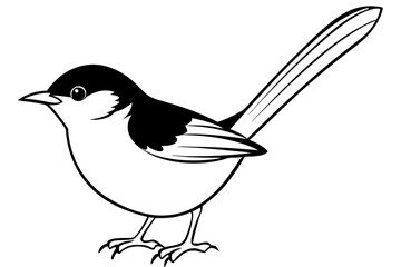 fairy wren line art silhouette vector illustration