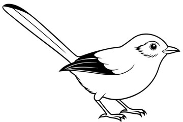 fairy wren line art silhouette vector illustration