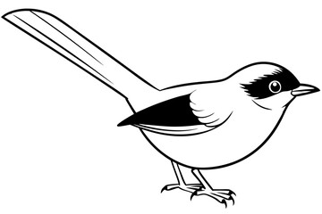 fairy wren line art silhouette vector illustration