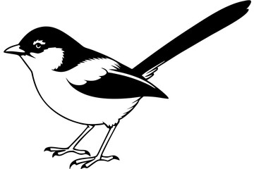 fairy wren line art silhouette vector illustration
