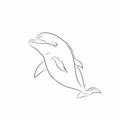 Fototapeta premium sketch of a bottlenose dolphin on a white background
