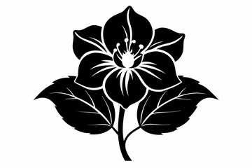 Obraz premium hellebore flower line art silhouette vector illustration