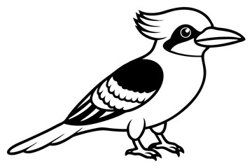 Fototapeta premium kookaburra line art silhouette vector illustration