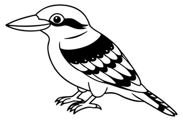 Obraz premium kookaburra line art silhouette vector illustration