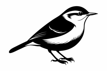 nuthatch bird line art silhouette vector illustration