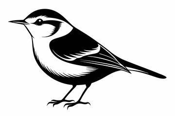 nuthatch bird line art silhouette vector illustration