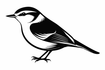 nuthatch bird line art silhouette vector illustration