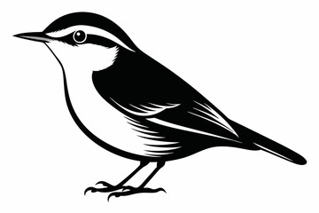 nuthatch bird line art silhouette vector illustration