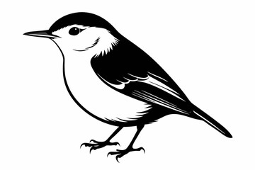 nuthatch bird line art silhouette vector illustration