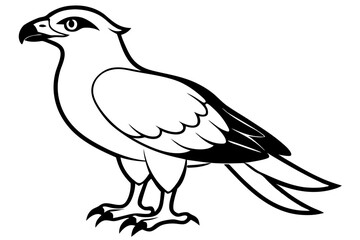 osprey line art silhouette vector illustration