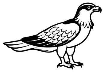 osprey line art silhouette vector illustration
