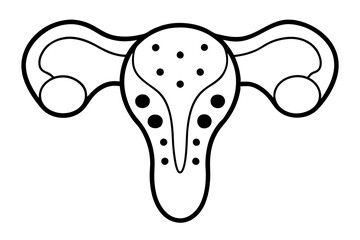 ovarie line art silhouette vector illustration
