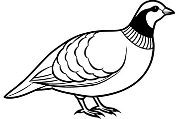 partridge line art silhouette vector illustration