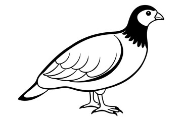 partridge line art silhouette vector illustration
