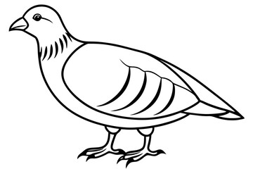 partridge line art silhouette vector illustration