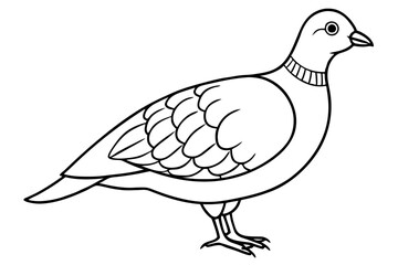 partridge line art silhouette vector illustration