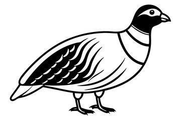 partridge line art silhouette vector illustration