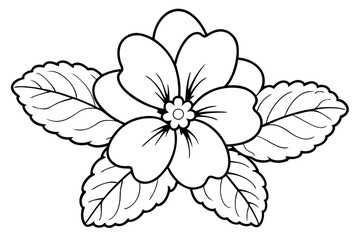 primrose flower line art silhouette vector illustration