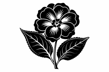primrose flower line art silhouette vector illustration