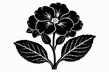 primrose flower line art silhouette vector illustration