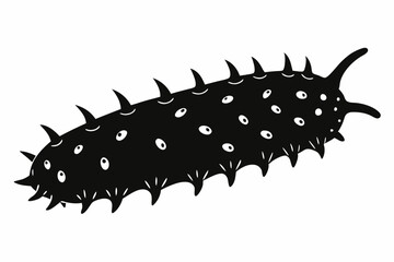 sea cucumber line art silhouette vector illustration