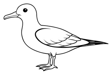 Obraz premium shearwater line art silhouette vector illustration