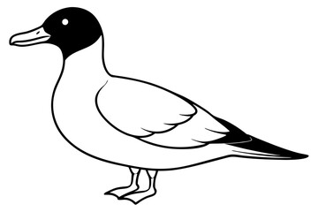 shearwater line art silhouette vector illustration