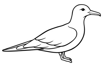 shearwater line art silhouette vector illustration