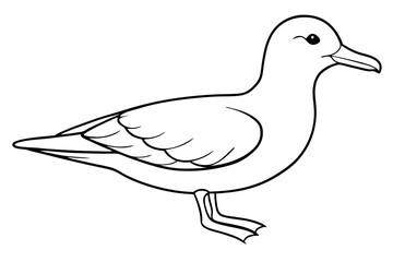 shearwater line art silhouette vector illustration