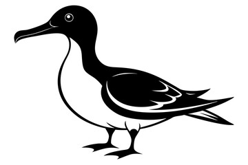 shearwater line art silhouette vector illustration