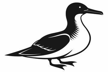 shearwater line art silhouette vector illustration