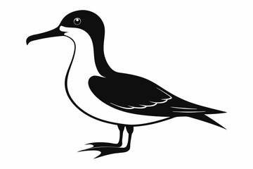 shearwater line art silhouette vector illustration