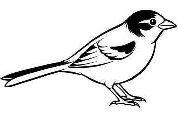sparrow line art silhouette vector illustration