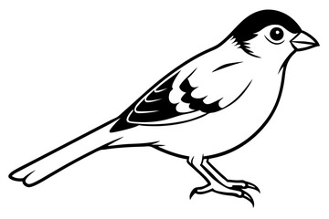 sparrow line art silhouette vector illustration