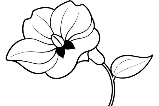 recommend clip art: sweet pea flower line art silhouette vector illustration